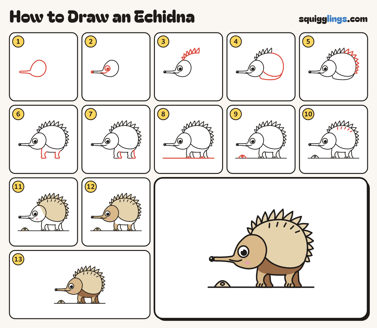 How to Draw an Echidna step by step: all 13 steps in one picture