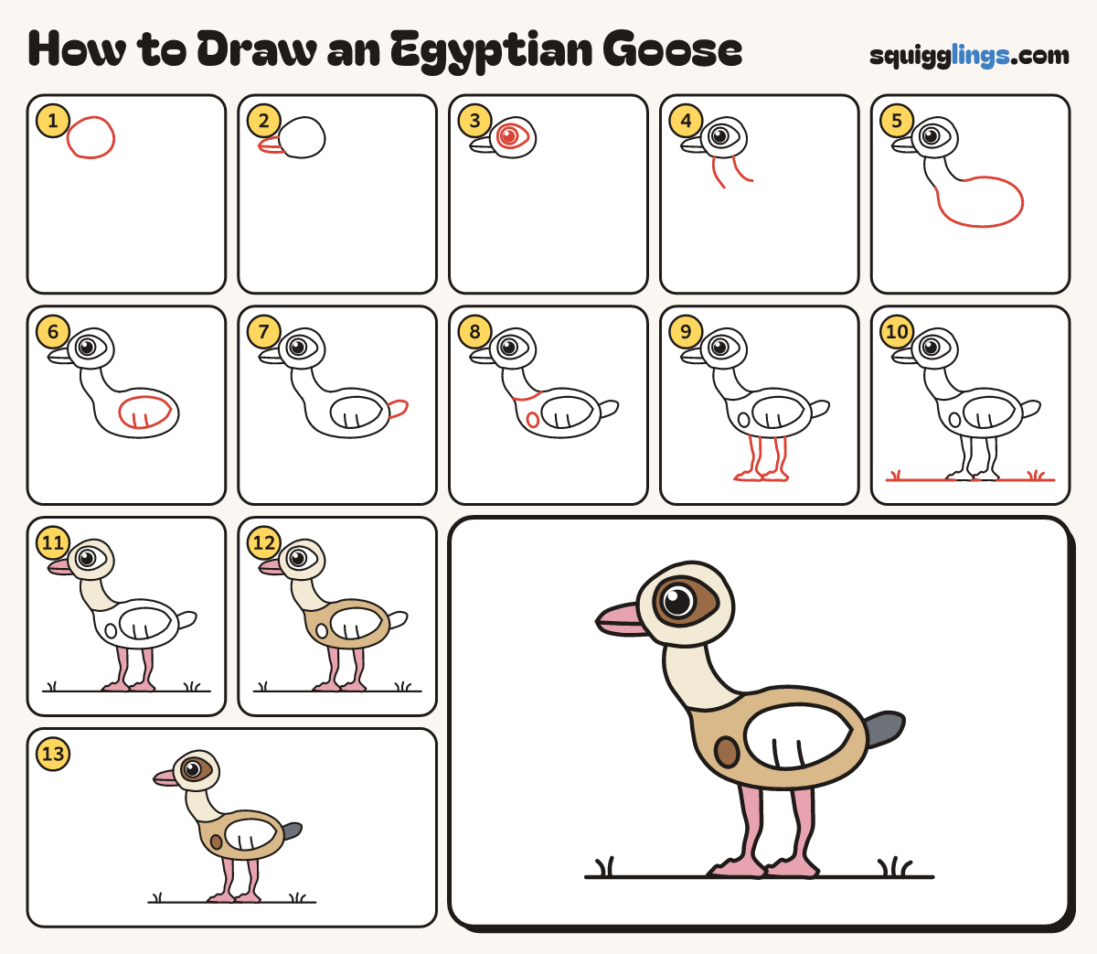 How to Draw an Egyptian Goose step by step: all 13 steps in one picture