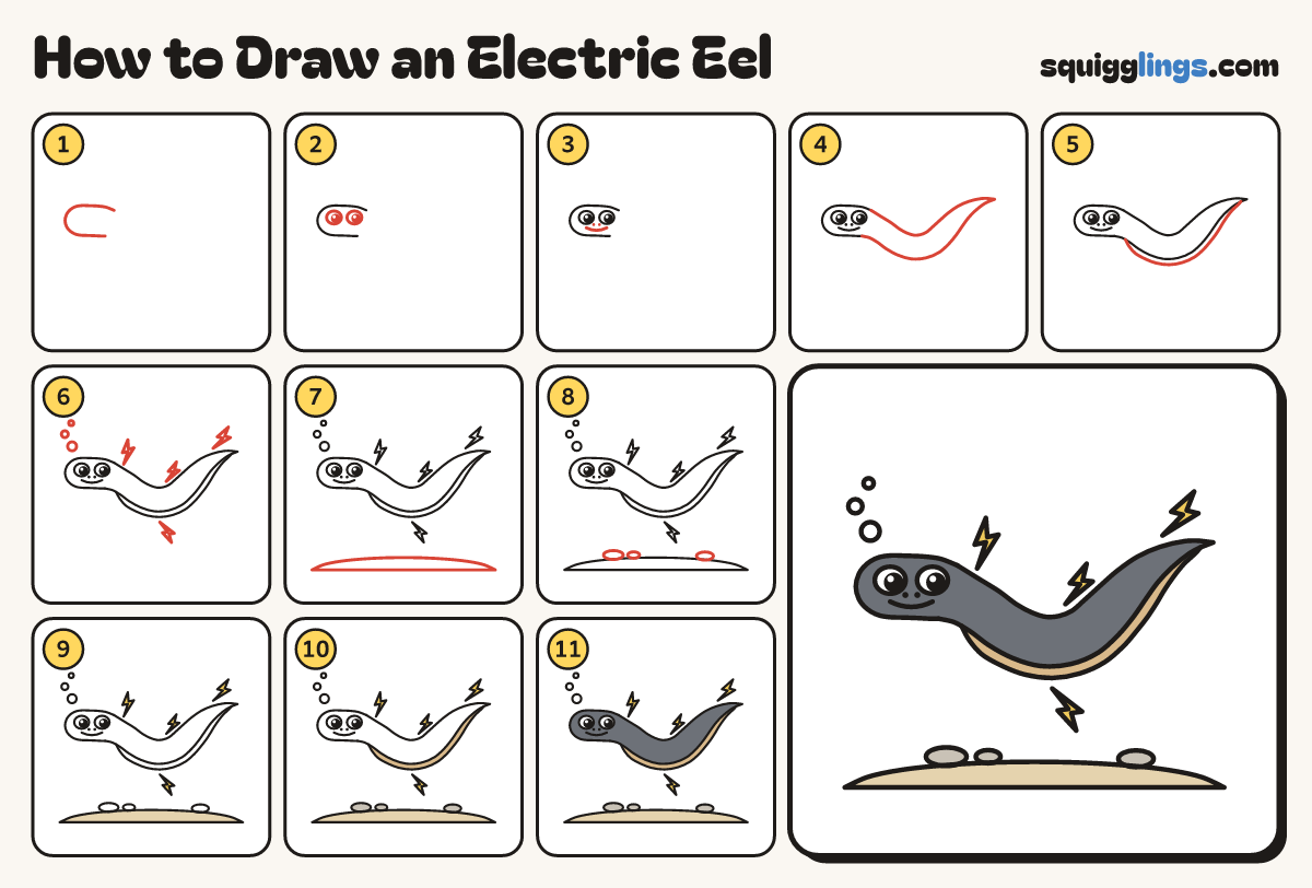 How to Draw an Electric Eel step by step: all 11 steps in one picture