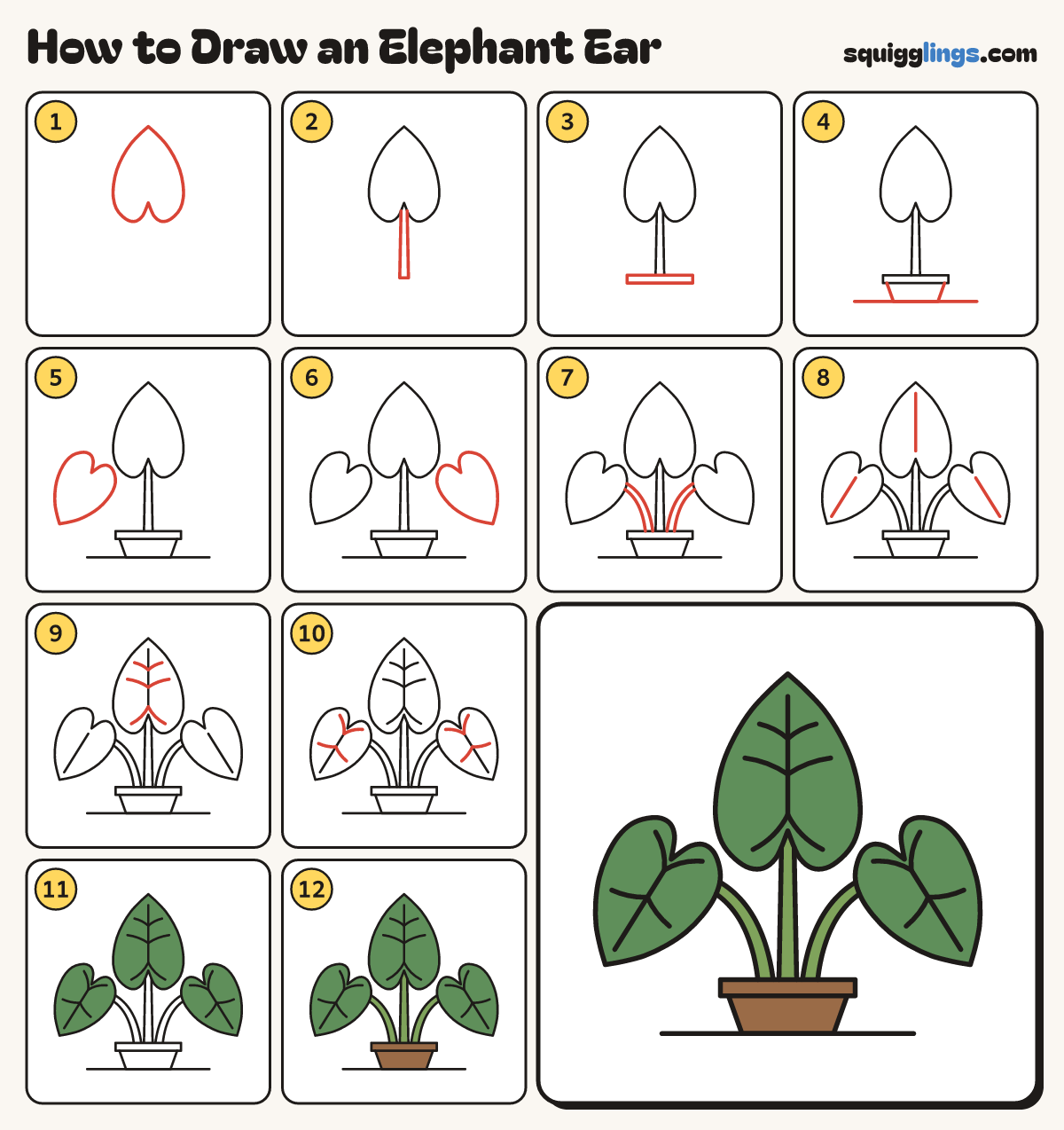 How to Draw an Elephant Ear step by step: all 12 steps in one picture