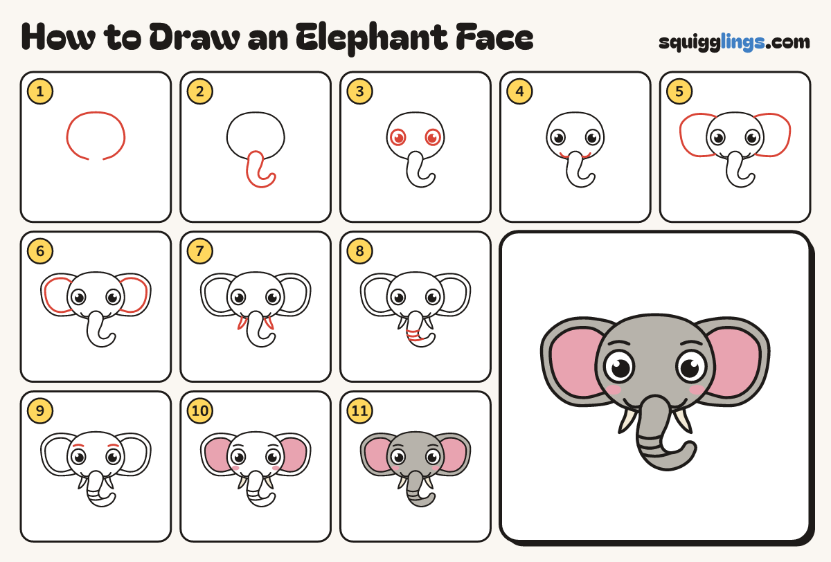How to Draw an Elephant Face step by step: all 11 steps in one picture