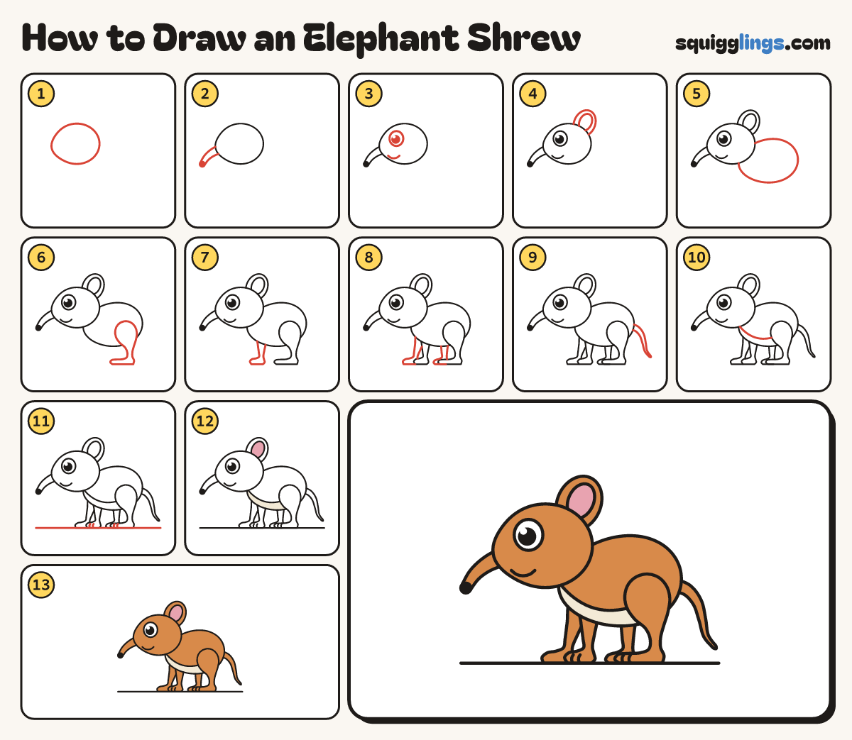 How to Draw an Elephant Shrew step by step: all 13 steps in one picture