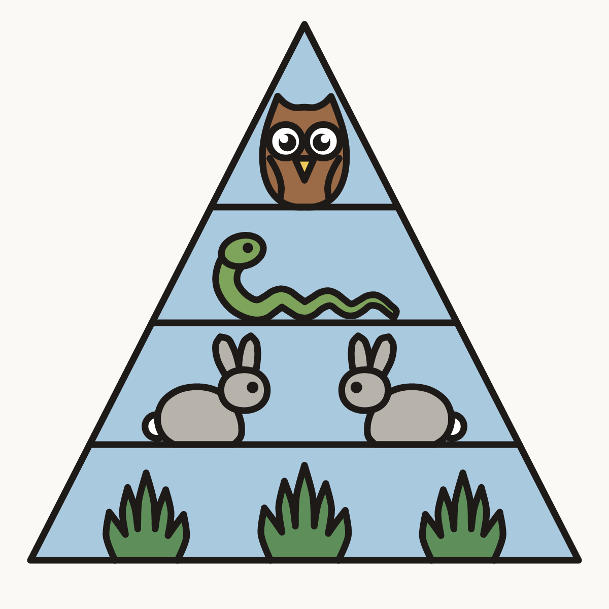 Finished drawing of an energy pyramid