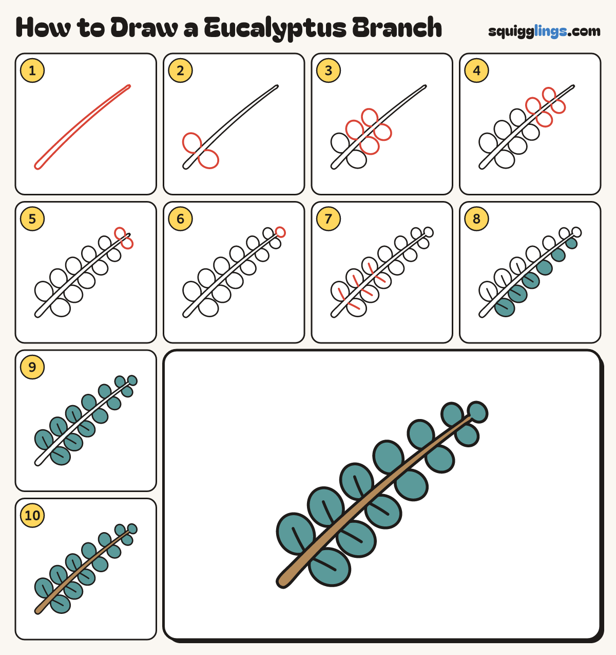 How to Draw a Eucalyptus Branch step by step: all 10 steps in one picture