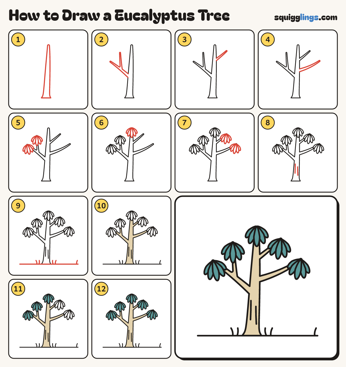 How to Draw a Eucalyptus Tree step by step: all 12 steps in one picture
