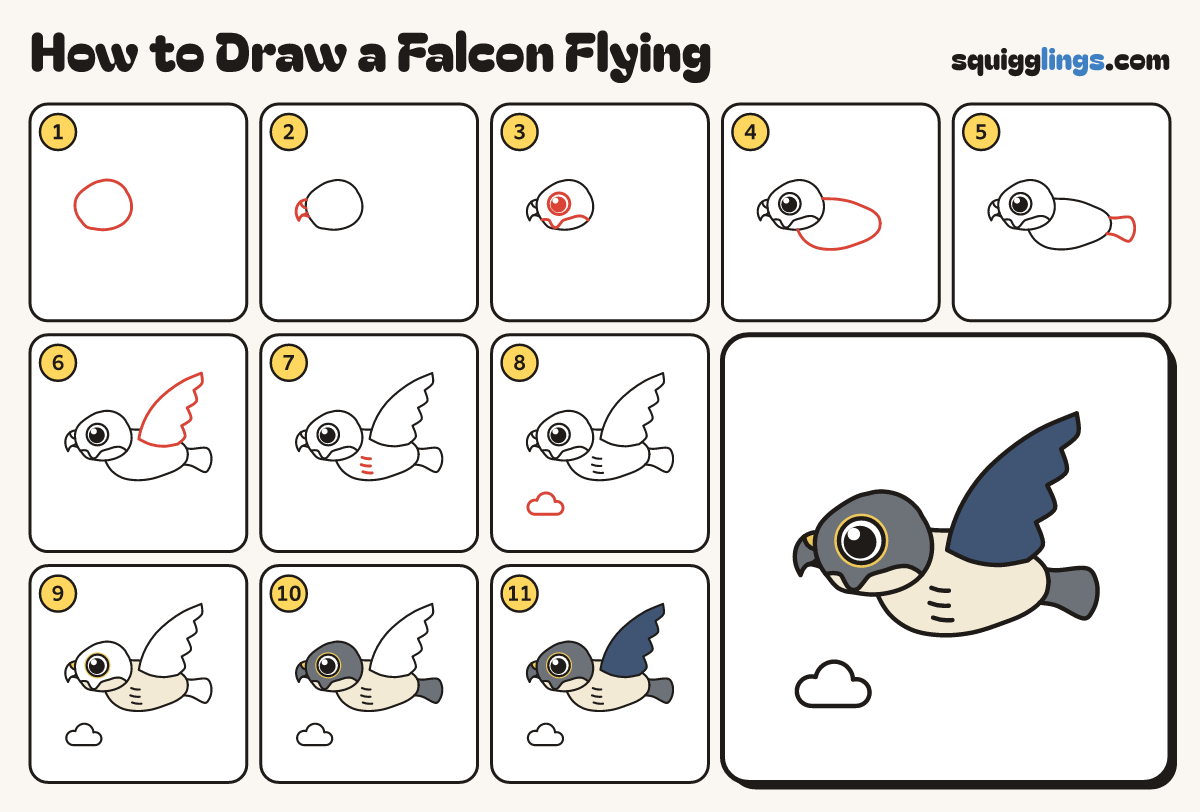 How to Draw a Falcon Flying step by step: all 11 steps in one picture