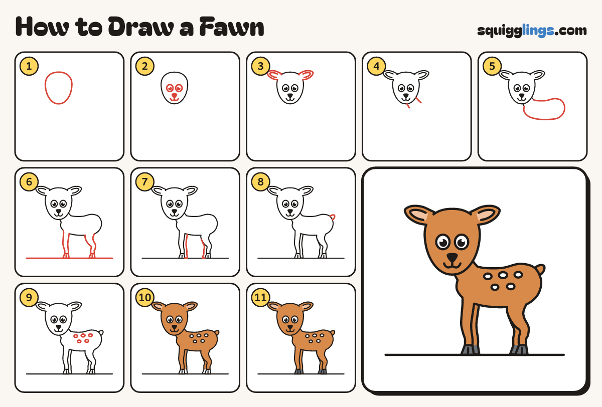 How to Draw a Fawn step by step: all 11 steps in one picture