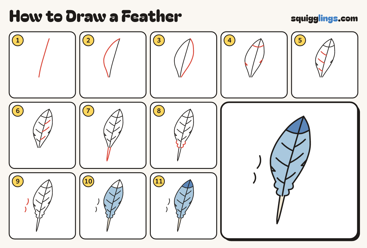 How to Draw a Feather step by step: all 11 steps in one picture