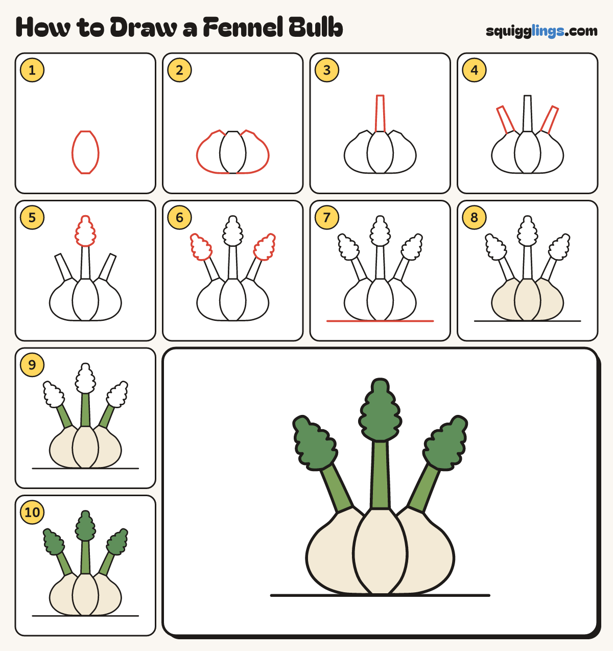 How to Draw a Fennel Bulb step by step: all 10 steps in one picture
