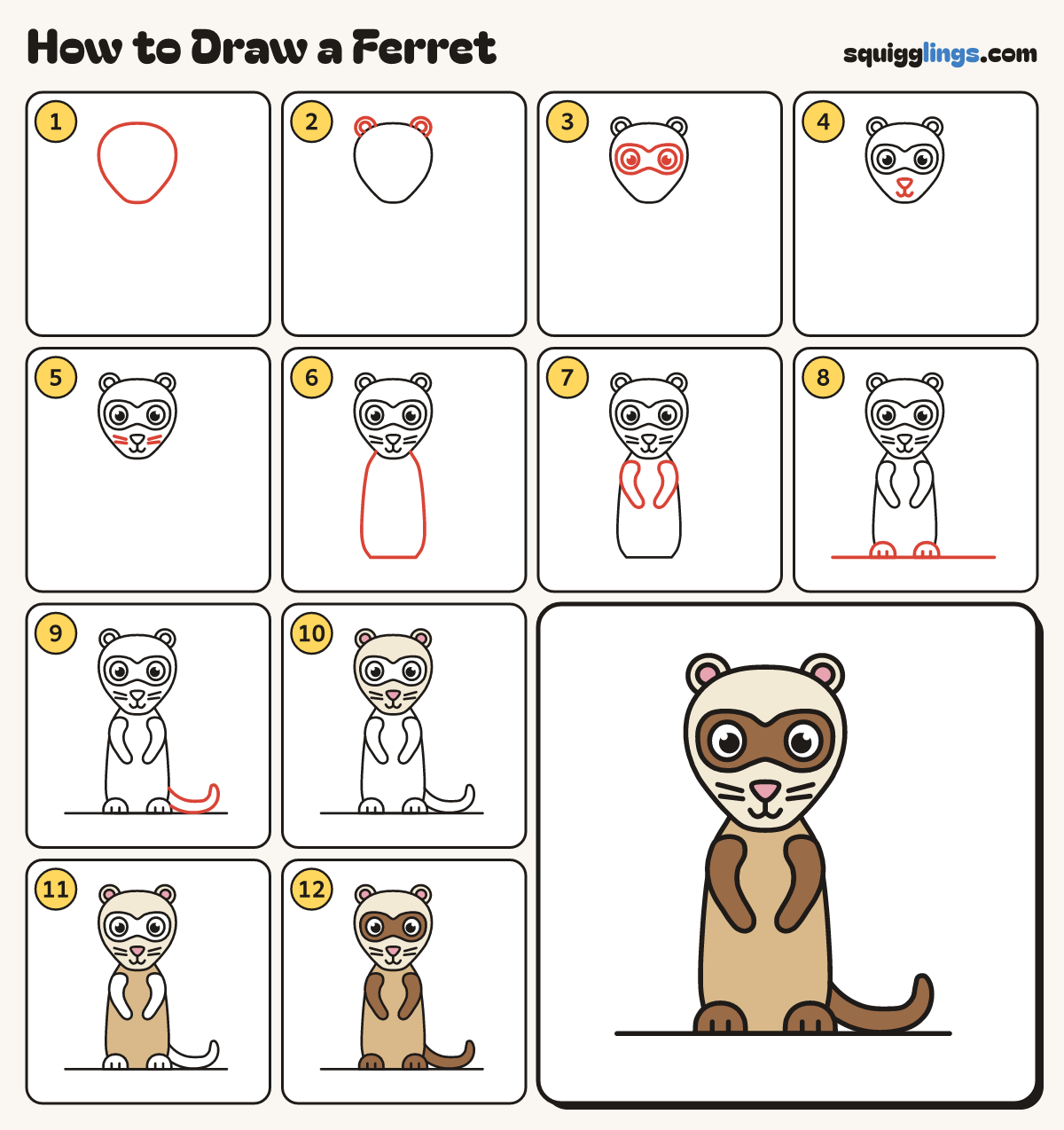 How to Draw a Ferret step by step: all 12 steps in one picture