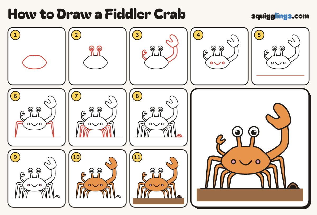 How to Draw a Fiddler Crab step by step: all 11 steps in one picture