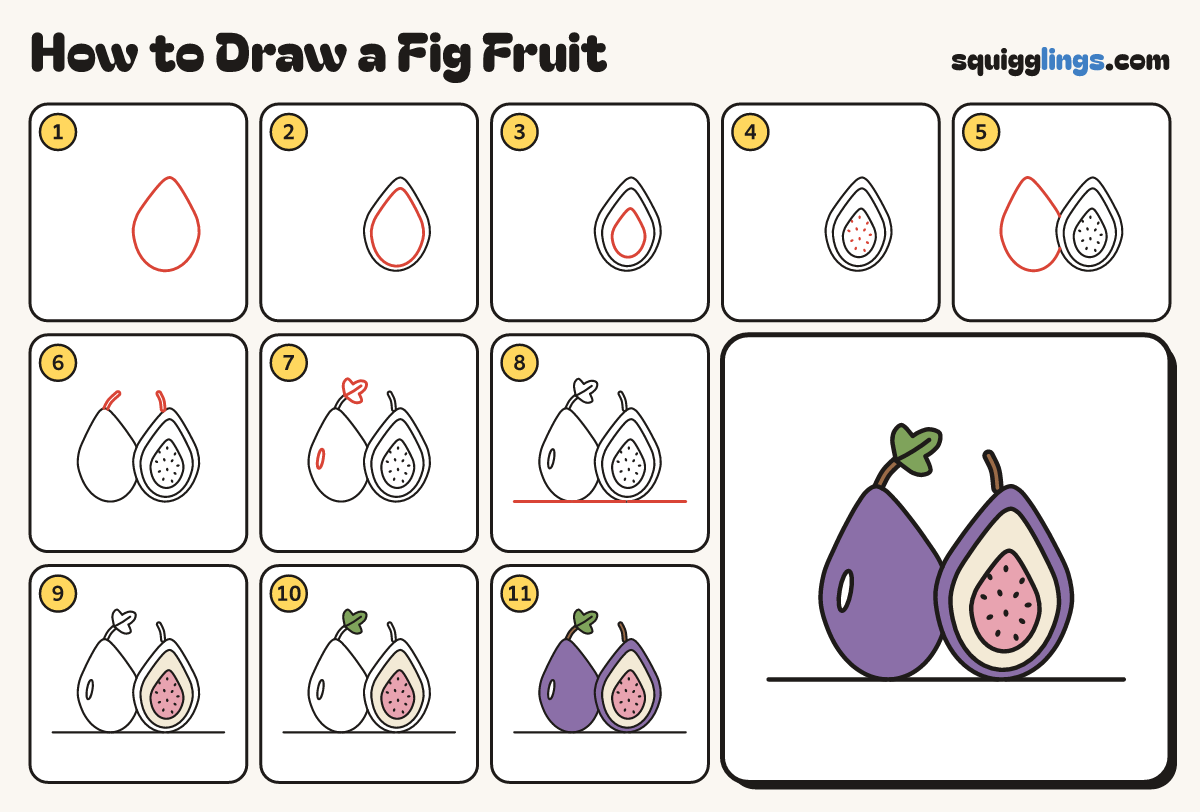 How to Draw a Fig Fruit step by step: all 11 steps in one picture