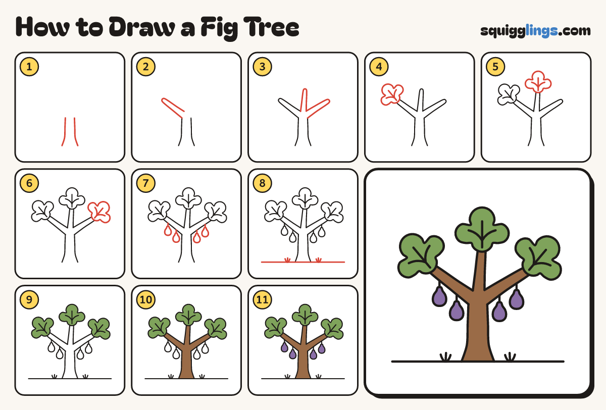 How to Draw a Fig Tree step by step: all 11 steps in one picture