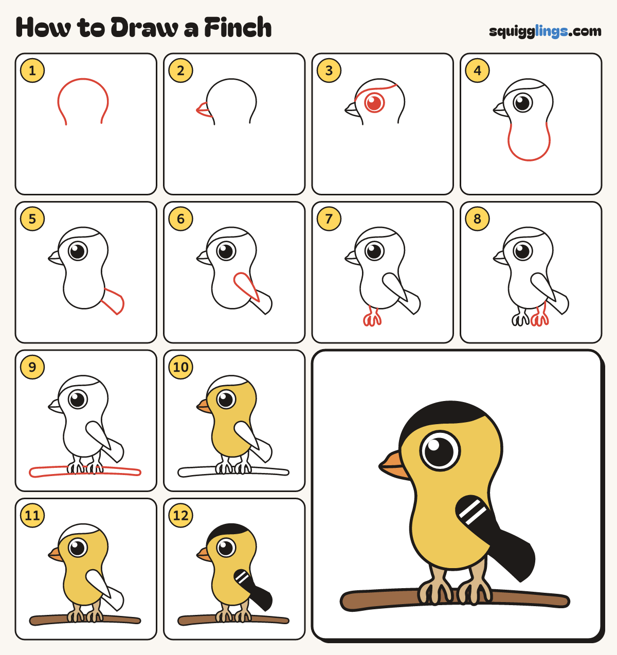 How to Draw a Finch step by step: all 12 steps in one picture
