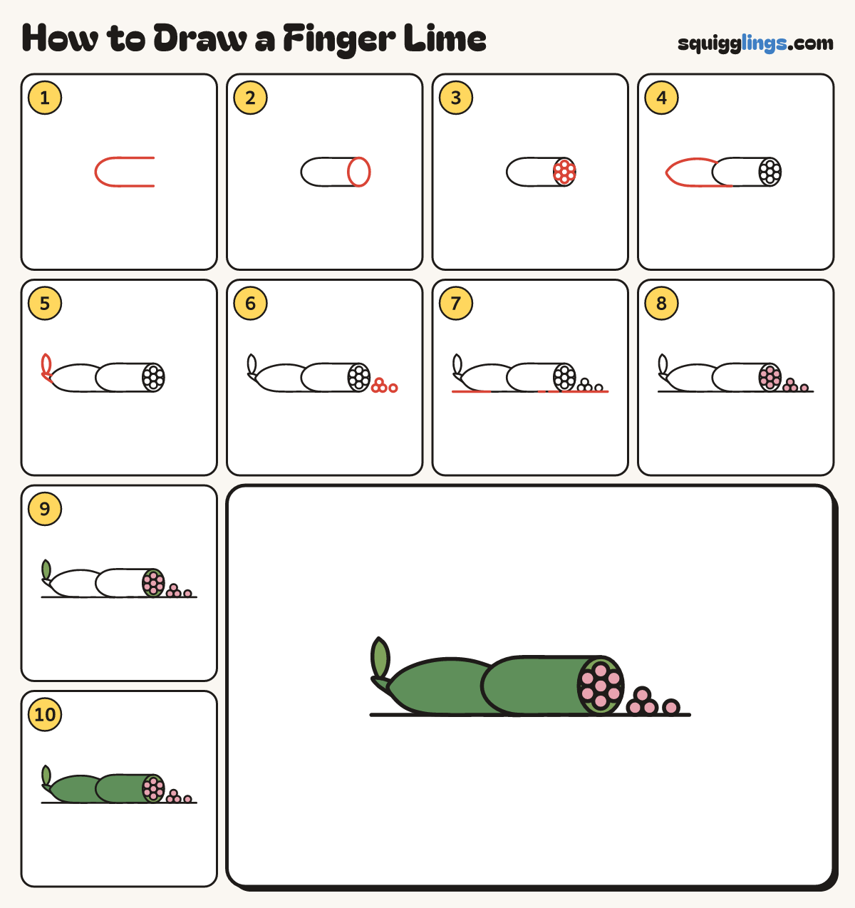 How to Draw a Finger Lime step by step: all 10 steps in one picture