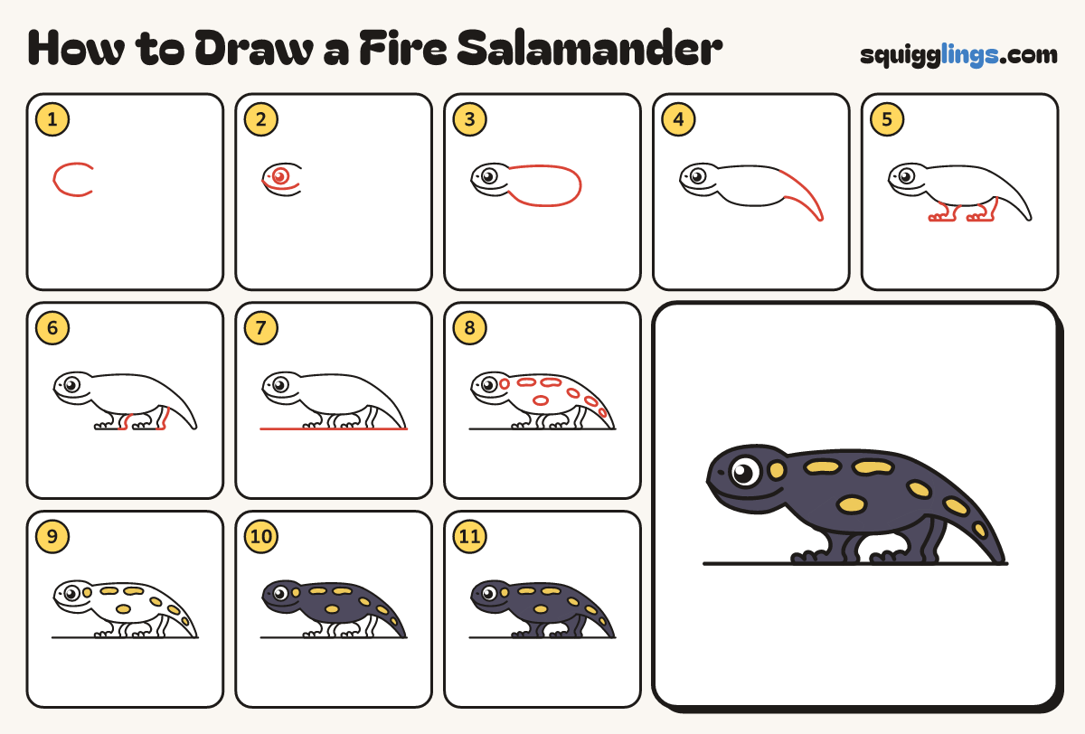 How to Draw a Fire Salamander step by step: all 11 steps in one picture