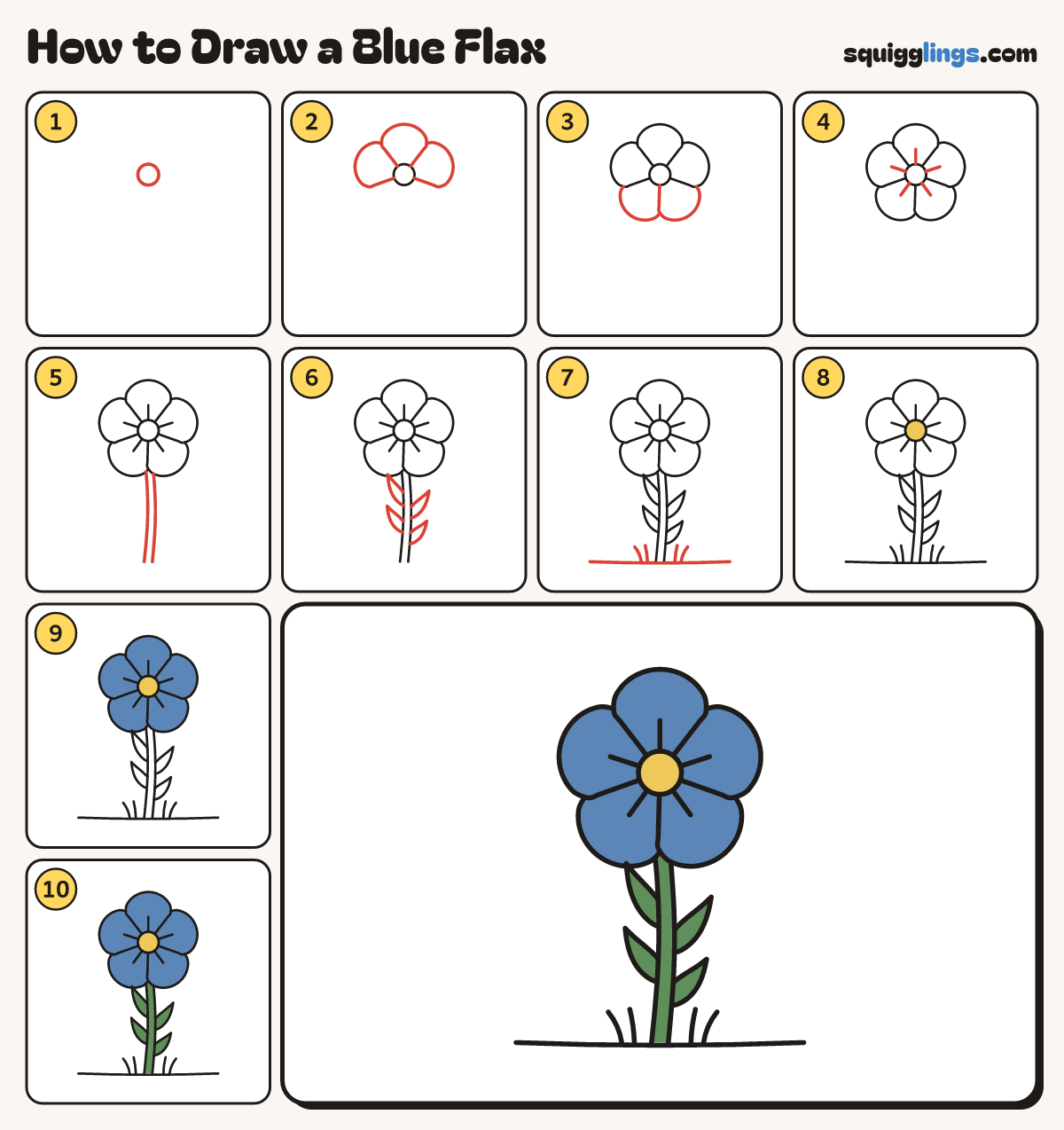 How to Draw a Blue Flax step by step: all 10 steps in one picture