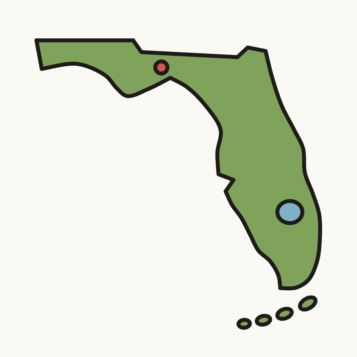 Finished drawing of a florida map