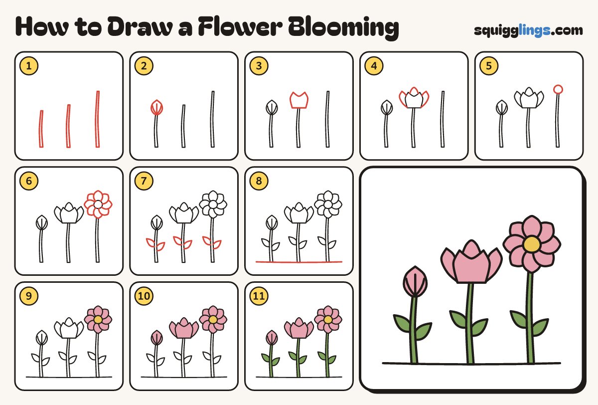 How to Draw a Flower Blooming step by step: all 11 steps in one picture