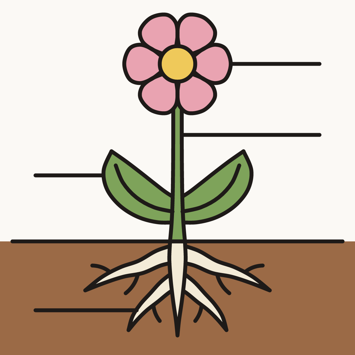Finished drawing of a flower with roots
