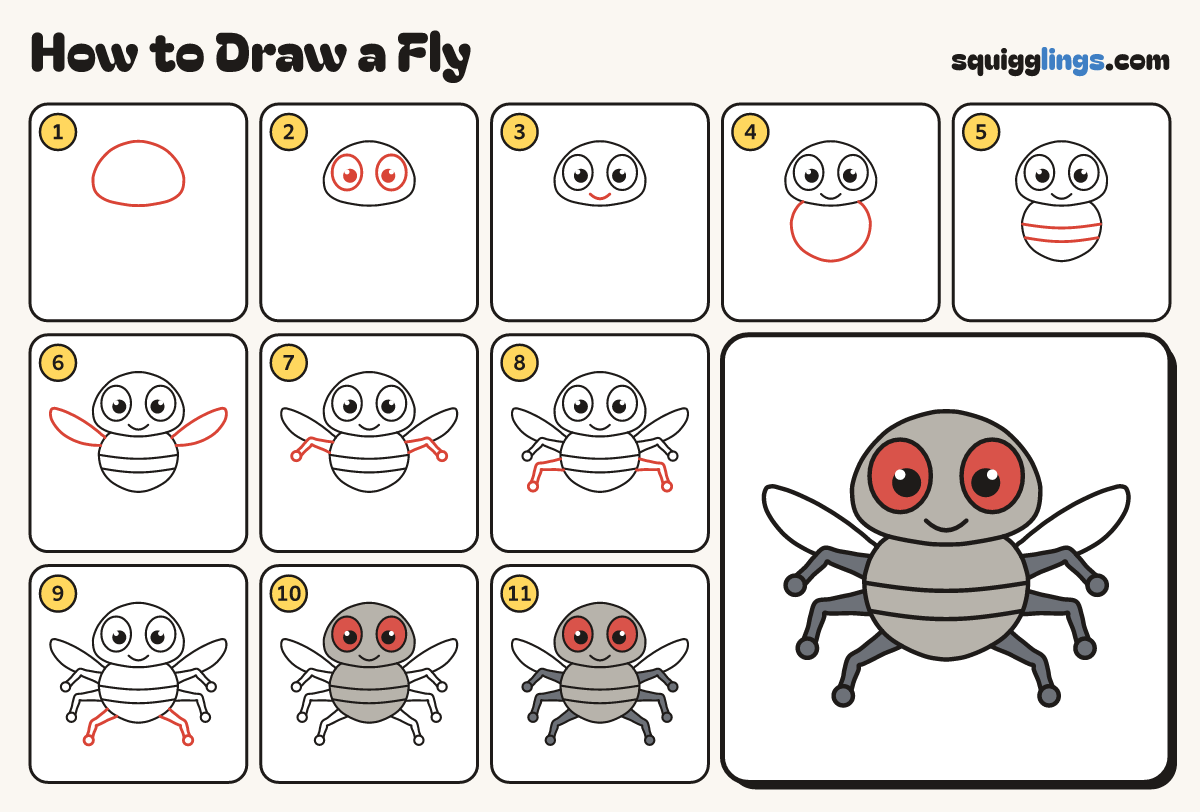How to Draw a Fly step by step: all 11 steps in one picture