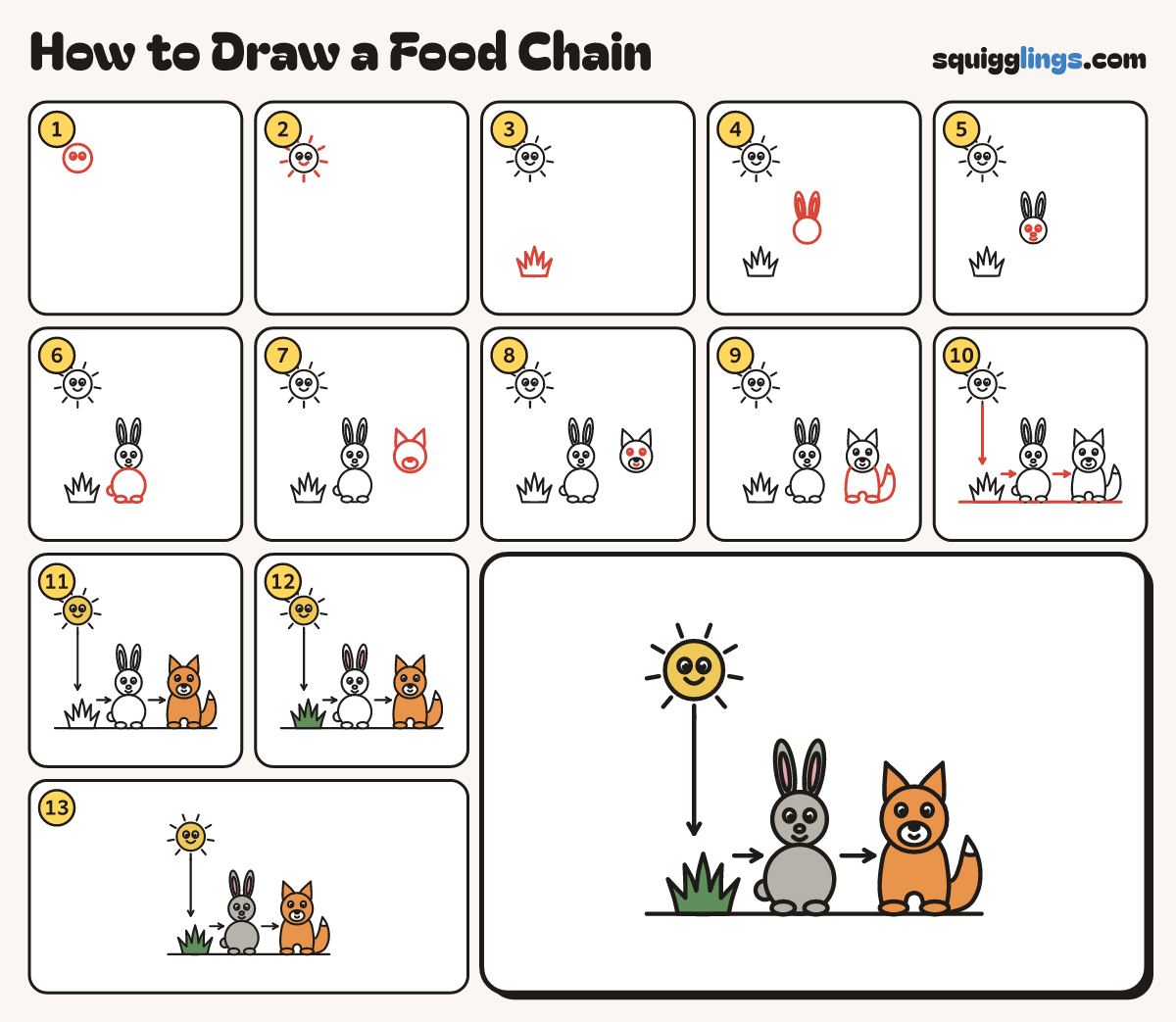 How to Draw a Food Chain step by step: all 13 steps in one picture