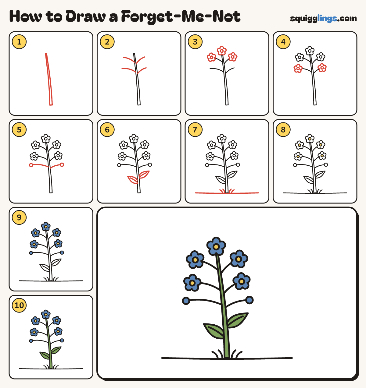 How to Draw a Forget-Me-Not step by step: all 10 steps in one picture