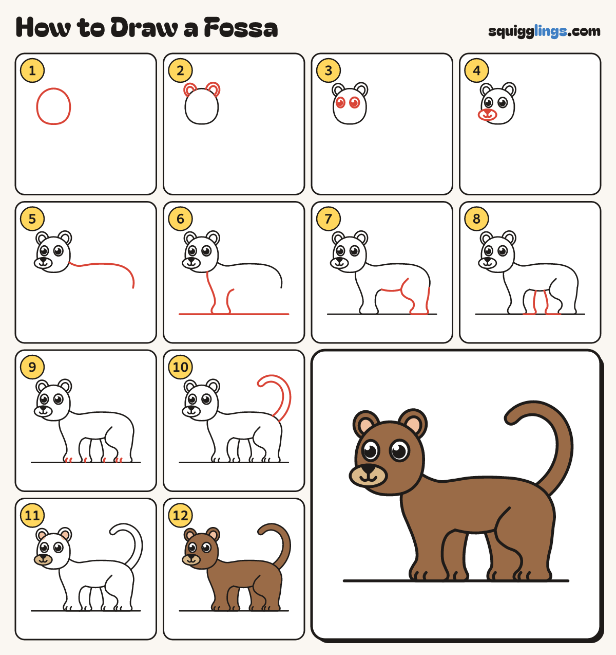How to Draw a Fossa step by step: all 12 steps in one picture