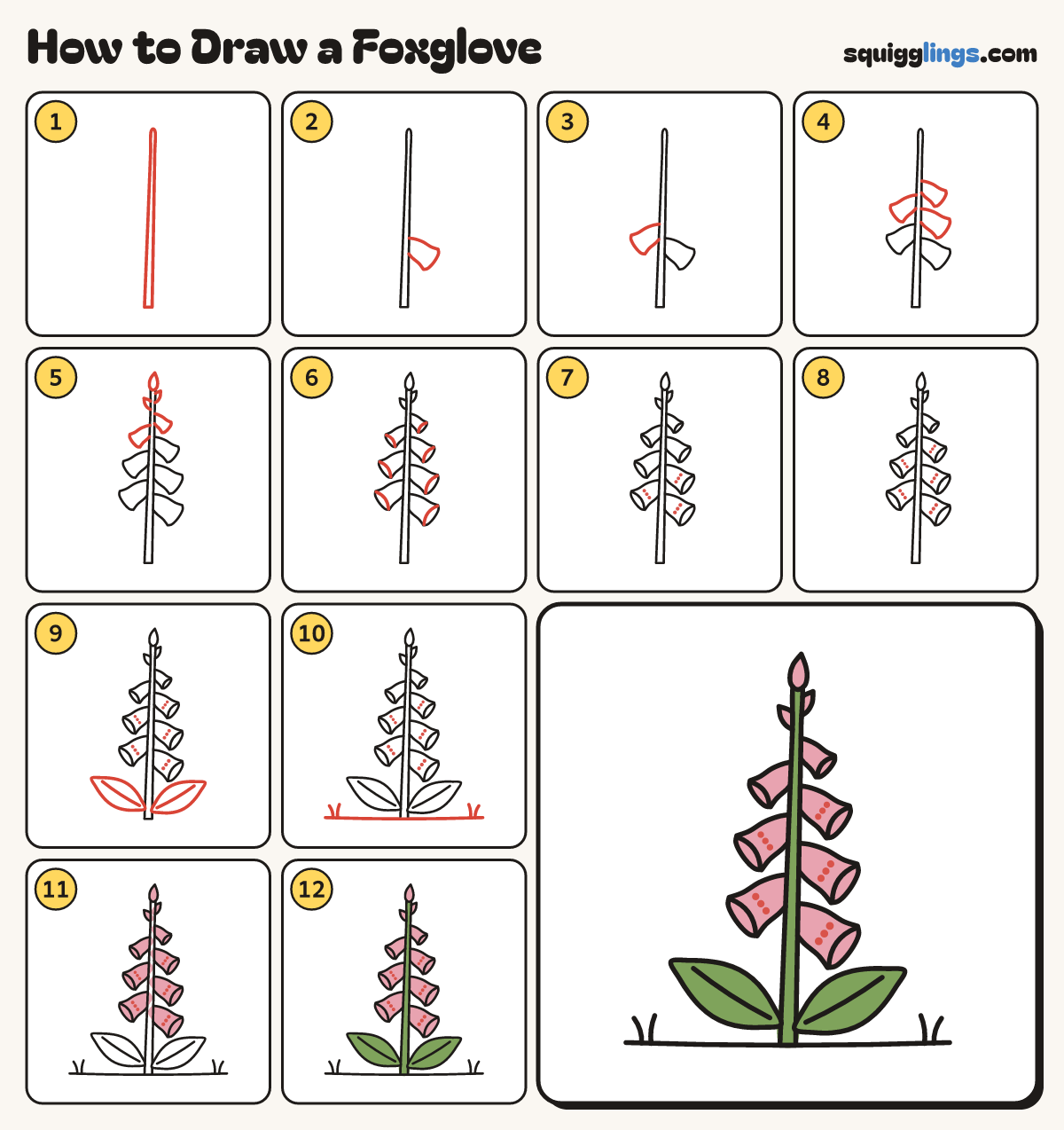 How to Draw a Foxglove step by step: all 12 steps in one picture
