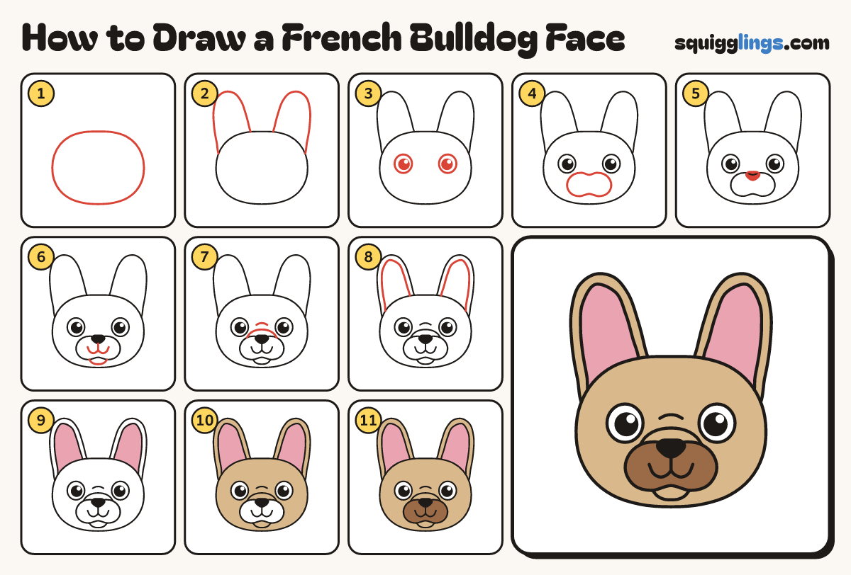 How to Draw a French Bulldog Face step by step: all 11 steps in one picture