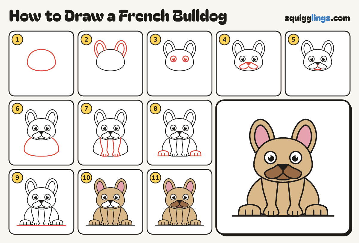 How to Draw a French Bulldog step by step: all 11 steps in one picture