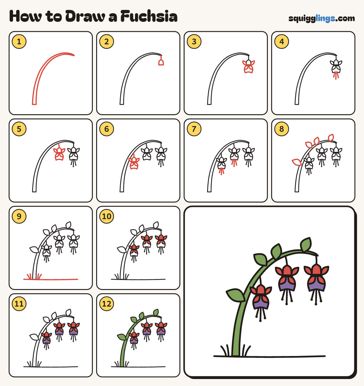How to Draw a Fuchsia step by step: all 12 steps in one picture