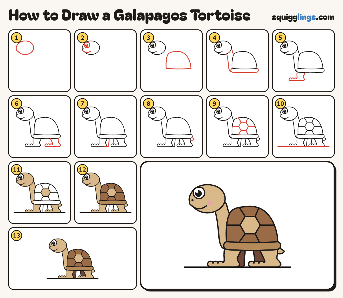 How to Draw a Galapagos Tortoise step by step: all 13 steps in one picture