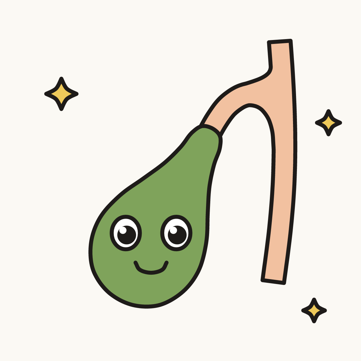 Finished drawing of a gallbladder