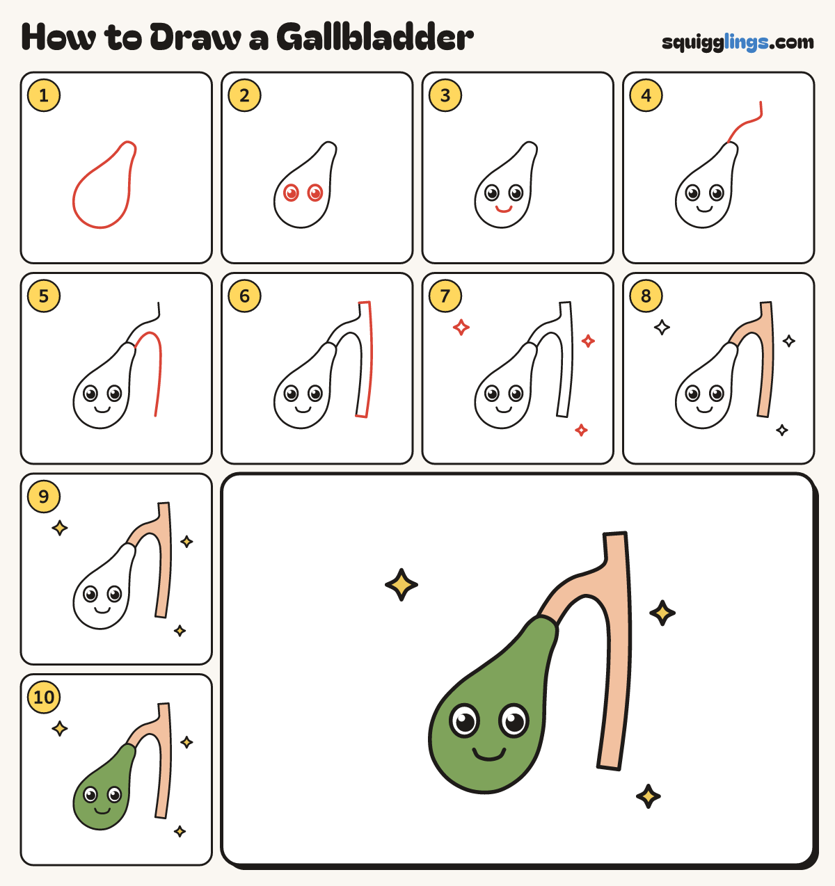 How to Draw a Gallbladder step by step: all 10 steps in one picture