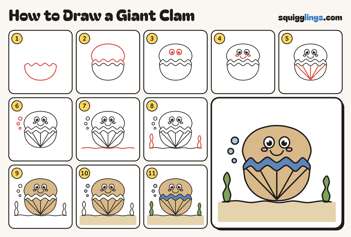 How to Draw a Giant Clam step by step: all 11 steps in one picture