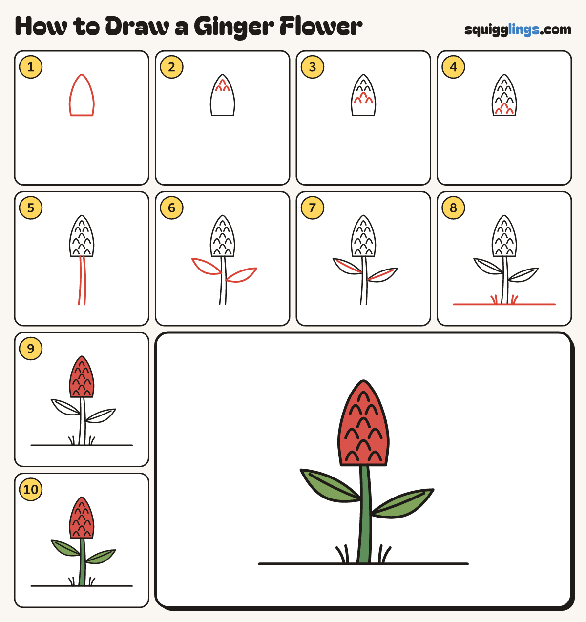 How to Draw a Ginger Flower step by step: all 10 steps in one picture