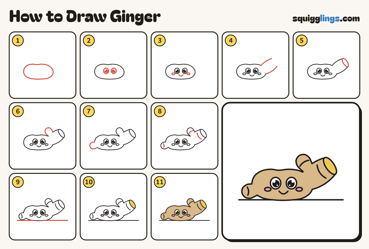 How to Draw Ginger step by step: all 11 steps in one picture