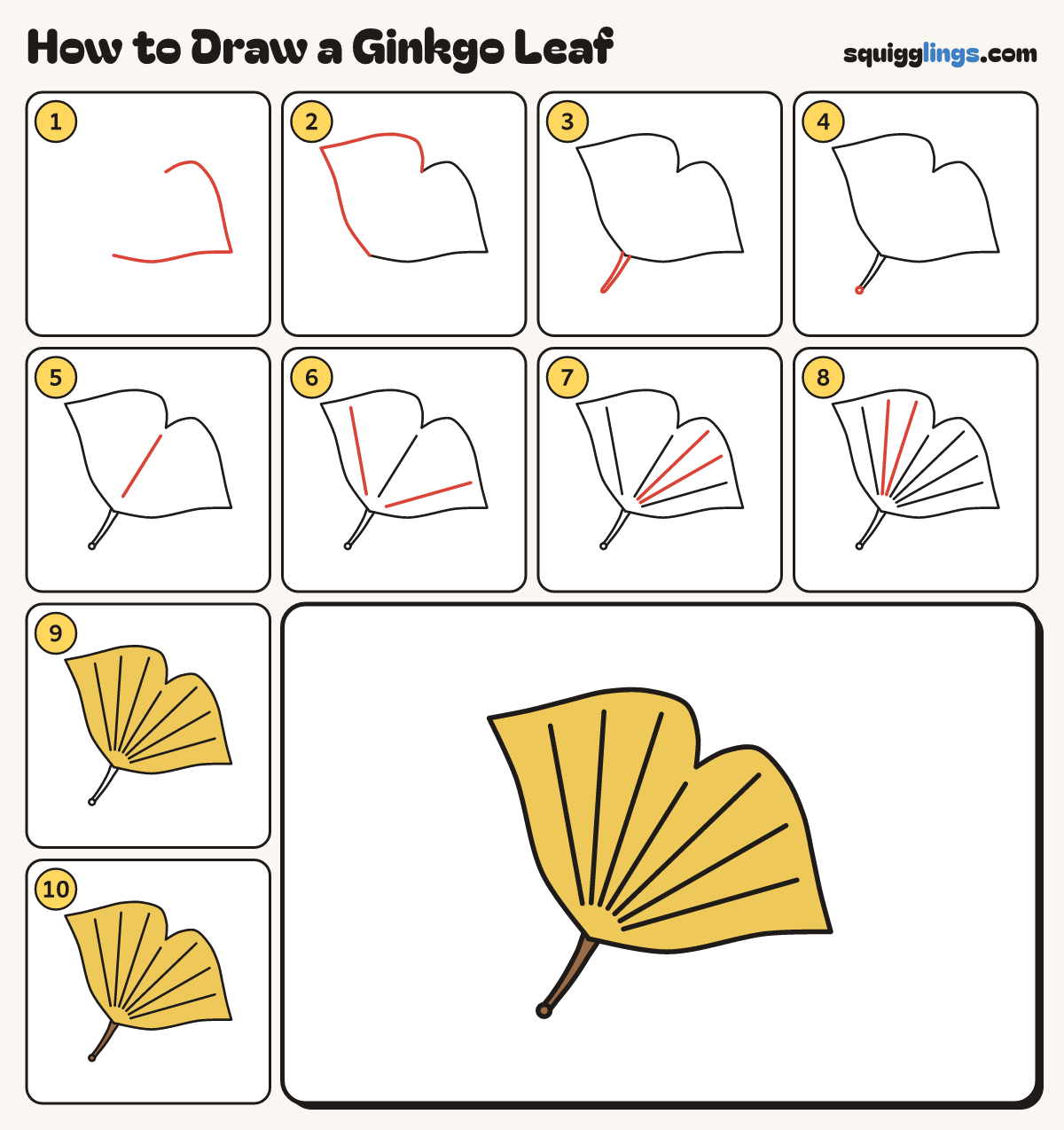 How to Draw a Ginkgo Leaf step by step: all 10 steps in one picture