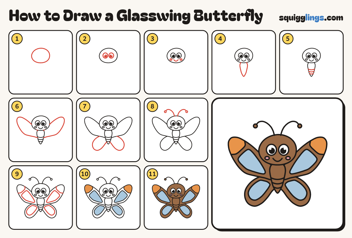 How to Draw a Glasswing Butterfly step by step: all 11 steps in one picture