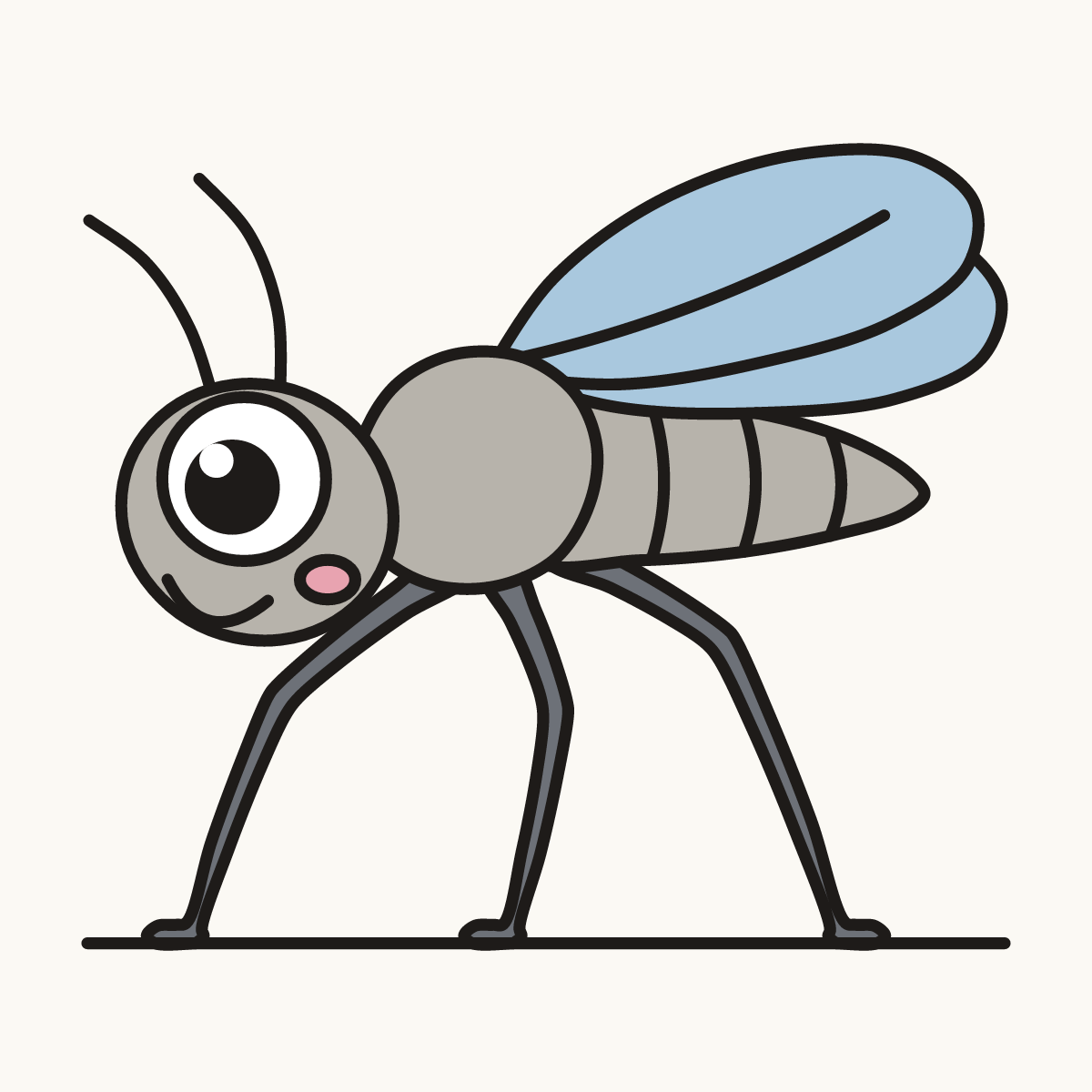 Finished drawing of a gnat