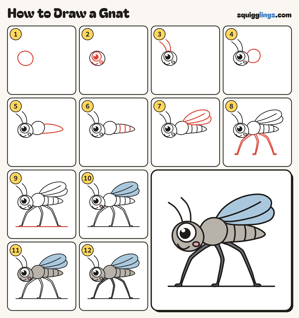 How to Draw a Gnat step by step: all 12 steps in one picture