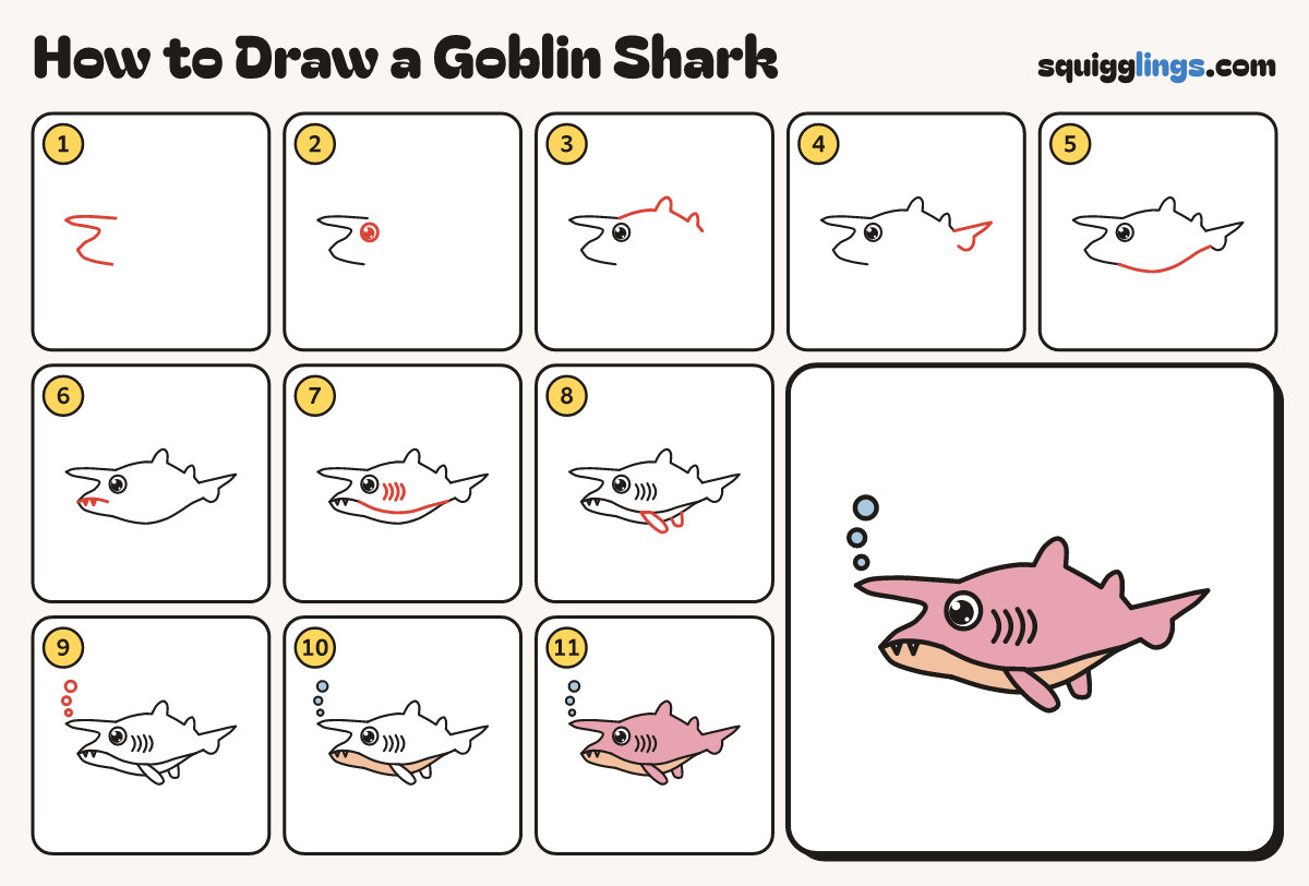 How to Draw a Goblin Shark step by step: all 11 steps in one picture