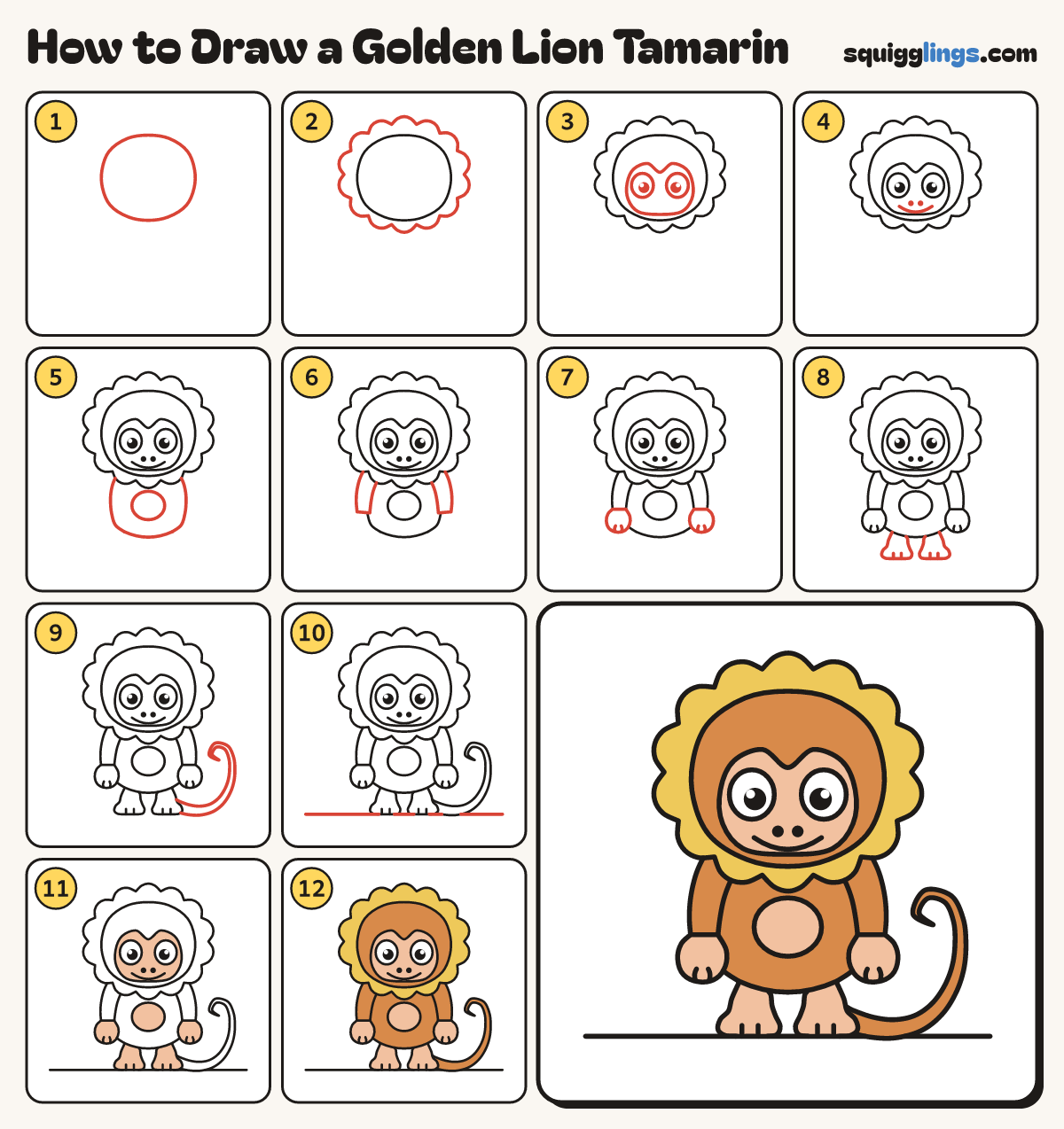 How to Draw a Golden Lion Tamarin step by step: all 12 steps in one picture