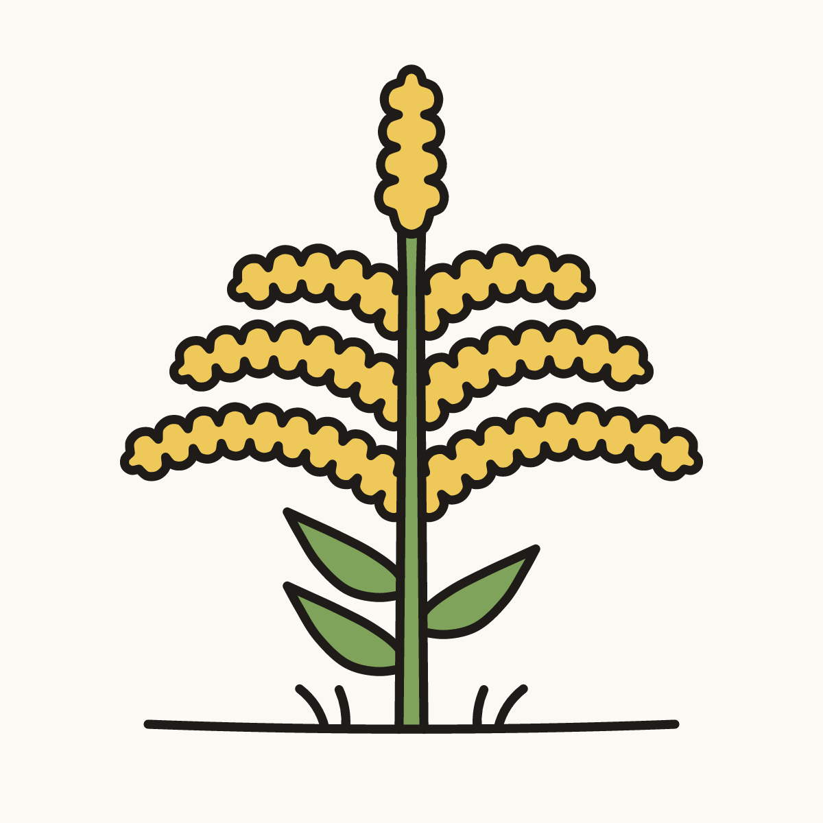 Finished drawing of a goldenrod