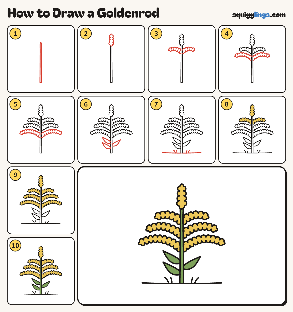 How to Draw a Goldenrod step by step: all 10 steps in one picture