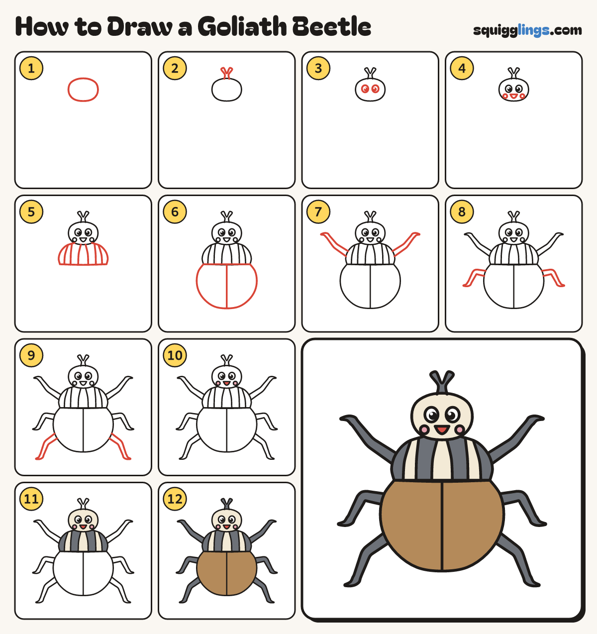 How to Draw a Goliath Beetle step by step: all 12 steps in one picture