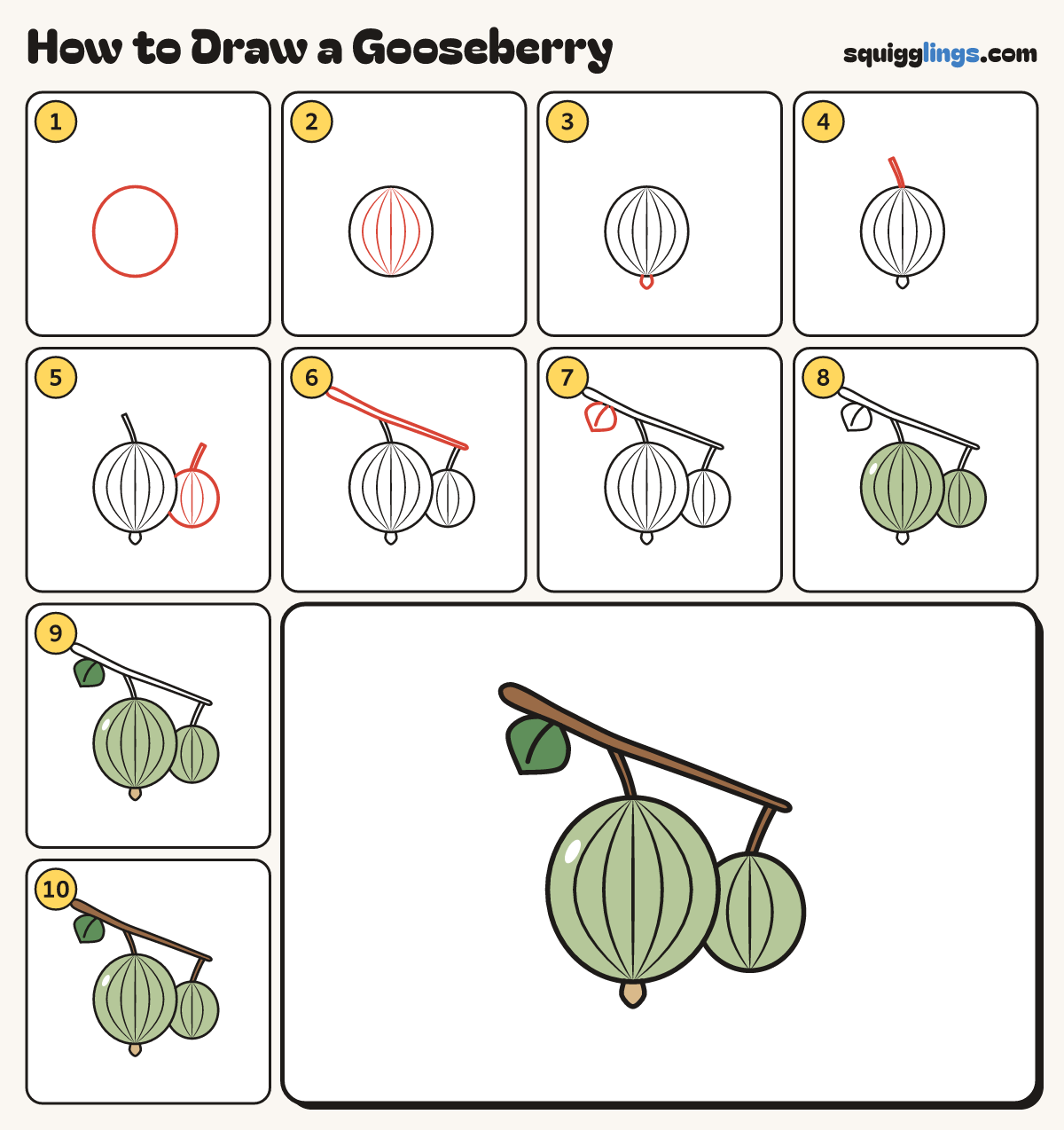 How to Draw a Gooseberry step by step: all 10 steps in one picture