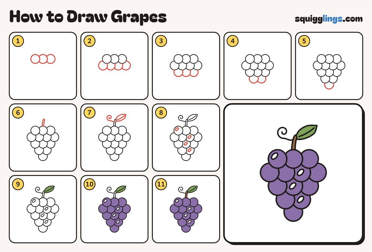 How to Draw Grapes step by step: all 11 steps in one picture