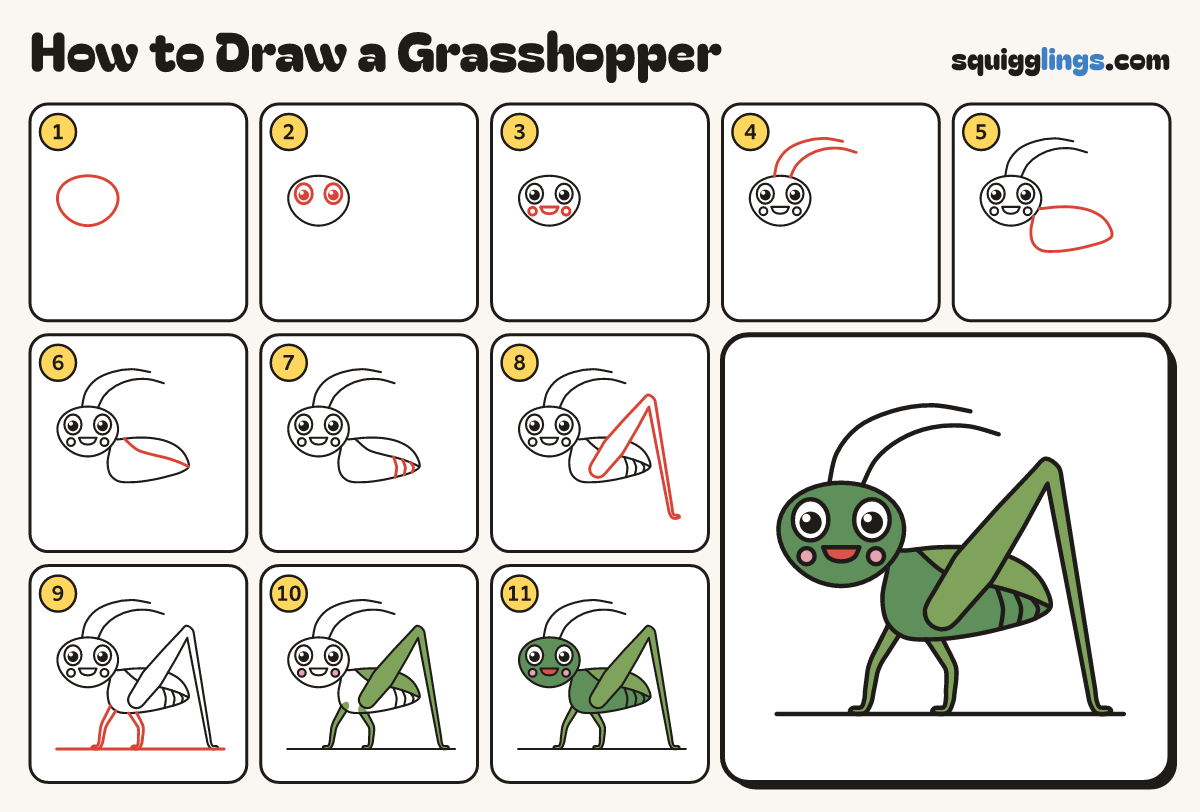 How to Draw a Grasshopper step by step: all 11 steps in one picture